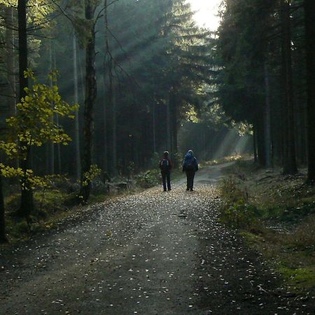 Hartmannsdorf bei Chemnitz Zimmervermietung-Heide-Fiege מראה חיצוני תמונה